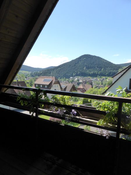 Teilmöbilierte 3-Zimmer-Südhang- Wohnung in Baiersbronn-Klosterreichenbach mit herrlichem Ausblick